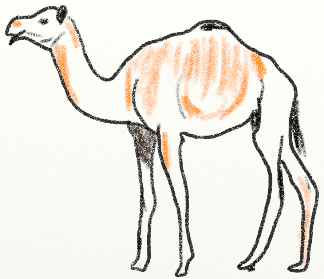 ../../_images/camel.png