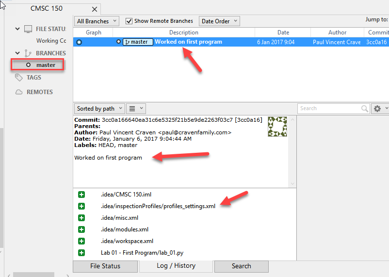 ../../_images/look_at_first_commit.png